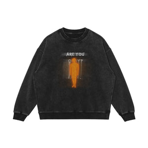 Are You Okay? | Washed Crewneck - Plyzix